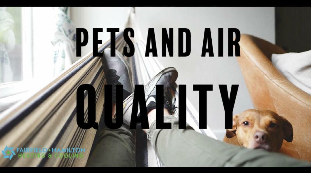 Pet Owners: How to Keep Pets and Keep Healthy Air Quality